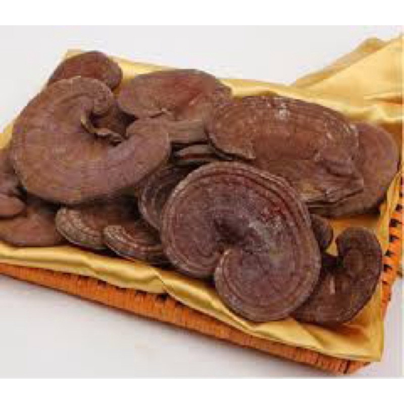 Nấm Linh Chi Đỏ Nguyên Tai Hàn Quốc Túi 1kg Nấm Giúp Giảm Lão Hóa Bảo Vệ Gan Thận Bổ Não Lợi Tiểu Tăng Tuổi Thọ Đẹp Da