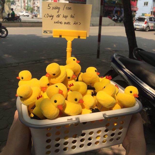 [ CÓ SẴN ] Kẹp tóc gà vịt vàng