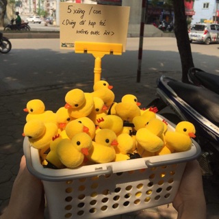 [ CÓ SẴN ] Kẹp tóc gà vịt vàng