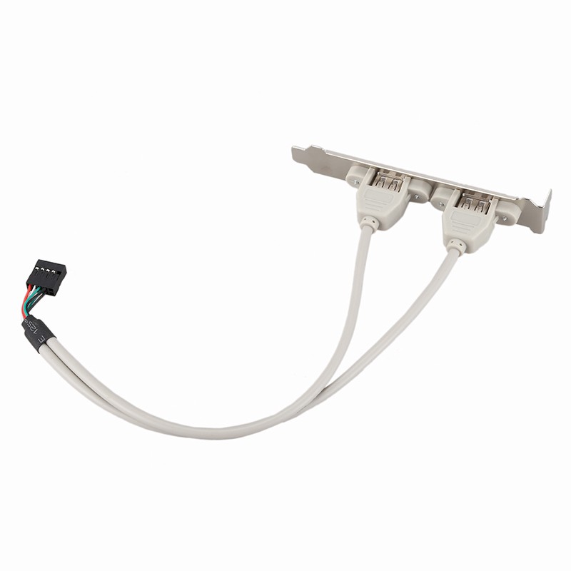 Expansion 2 Ports Hub USB 2.0 to 9 Pin Header Mainboard Pa tusongh44 | BigBuy360 - bigbuy360.vn
