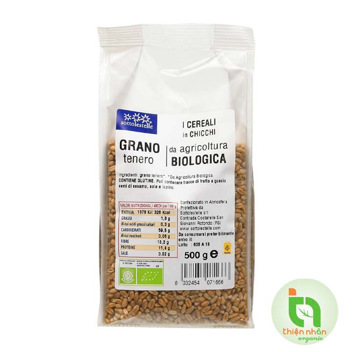 [2 loại] Hạt cỏ lúa mì hữu cơ Sottolestelle 500g và 1kg Organic Wheatgrass Seeds