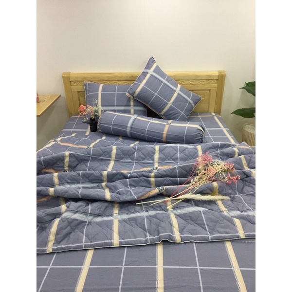 Sale Bộ chăn ga 100% cotton Hàn Quốc 5 món 1m đến 1m8 GỐI ÔM DÂY KHOÁ | BigBuy360 - bigbuy360.vn