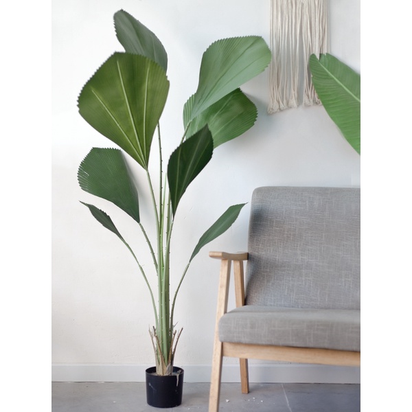Cây cọ nhật giả 110cm - 130cm- 160cm. Cây cảnh giả trang trí nhà cửa