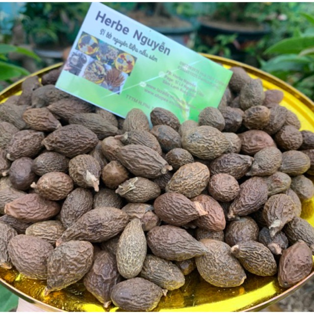Hạt đười ươi 500g (loại đặc biệt)