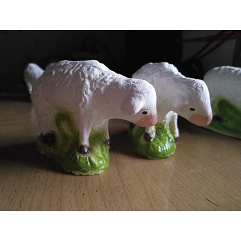 Cừu nhỏ Thạch Cao