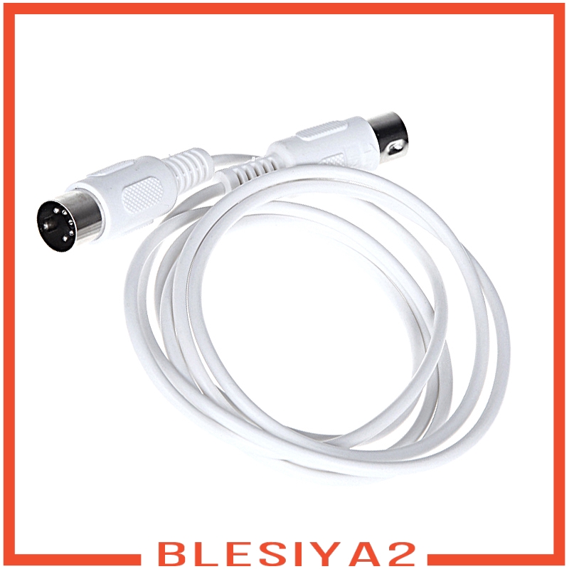 Dây Cáp Nối Đàn Guitar Điện Blesiya2 Dài 300cm