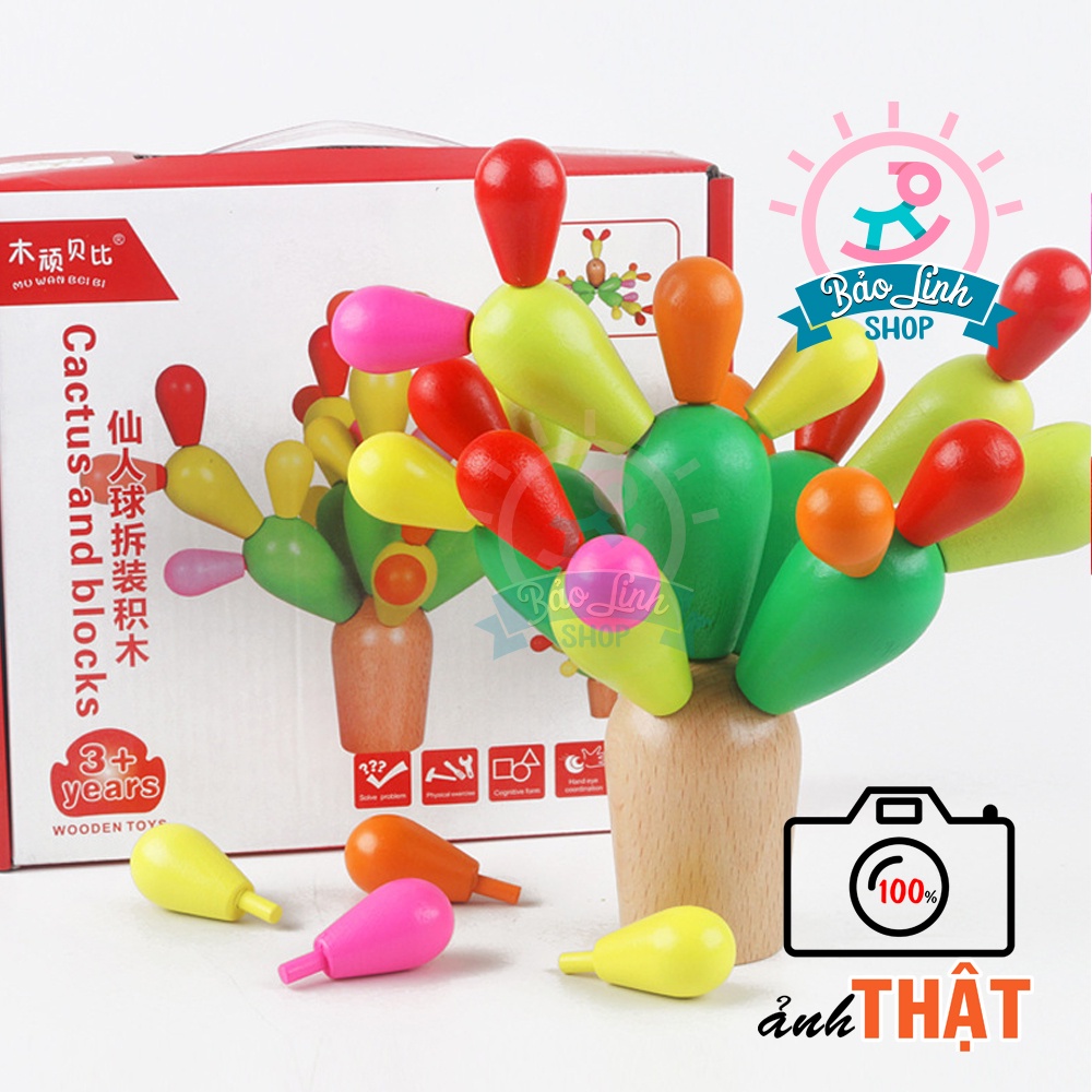 Cây xương rồng - Đồ chơi cho bé vận động tinh, rèn luyện tập trung, kiên nhẫn - LOẠI ĐẸP| Đồ chơi an toàn