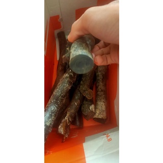 cây dương khúc làm nhẫn