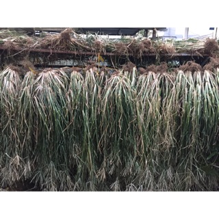 Combo 2,5 co muc, 1 co heo va 1 man trau qua phơi khô