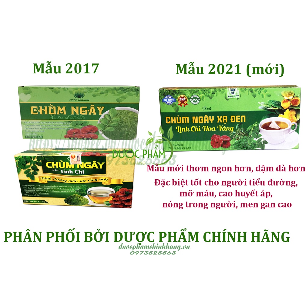 Trà chùm ngây xạ đen linh chi hạ men gan