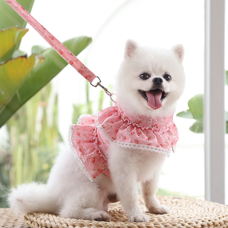 Dây Đeo Cổ Họa Tiết Hoa Phối Ren Xinh Xắn Cho Thú Cưng