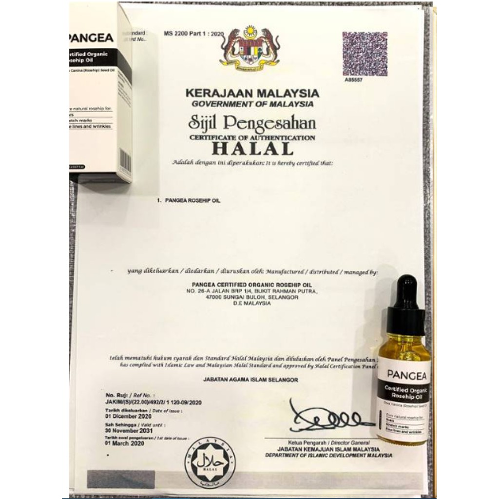 [NHẬP KHẨU CHÍNH HÃNG] KEM SẸO PANGEA MALAYSIA -HÀNG CHUẨN AUTH KHÔNG PHẢI HÀNG NHÁI