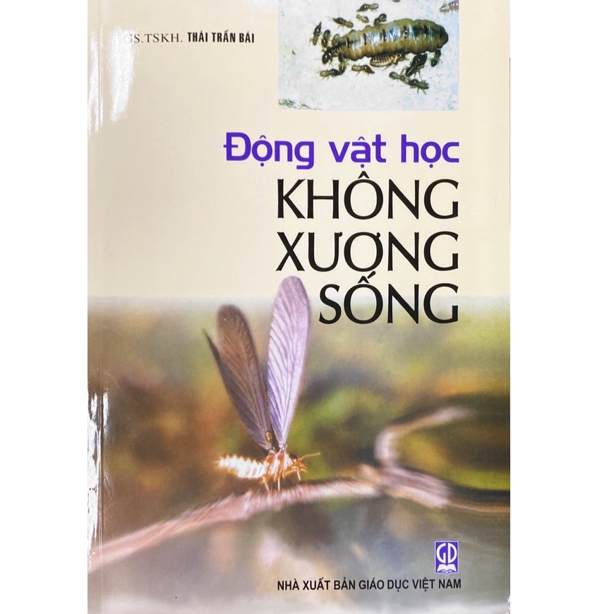 Sách - Động vật học Không xương sống
