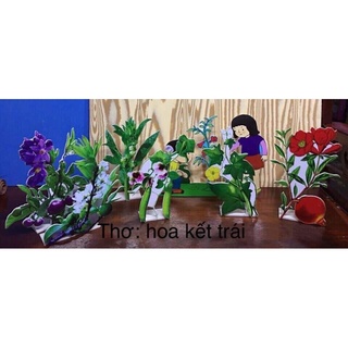 Hoa kết trái - Mô hình dạy thơ