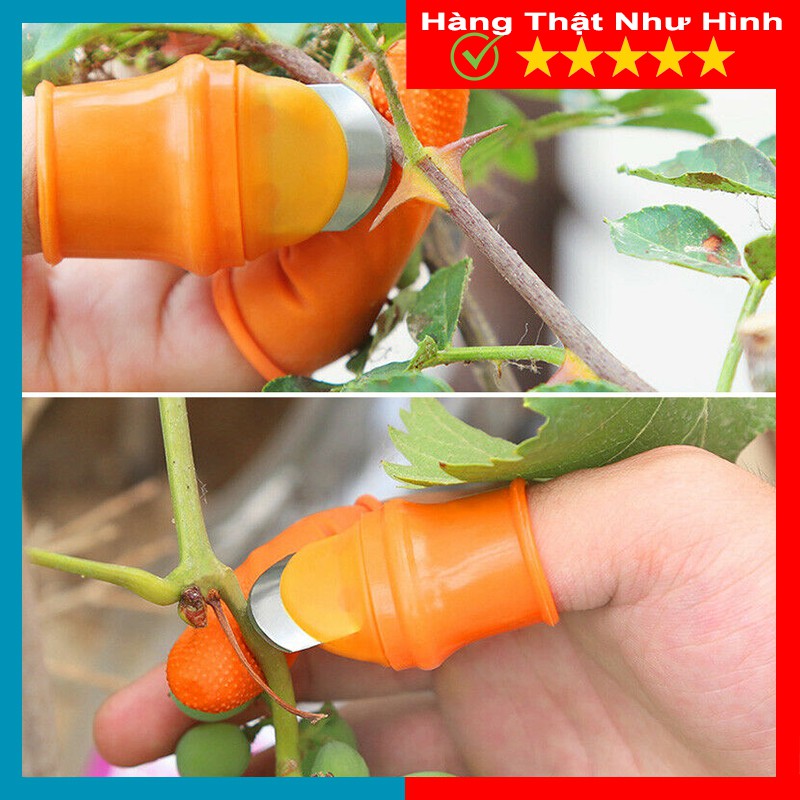 Bộ Móng Nhặt Rau Củ Quả Chống Bẩn Móng Tay, Ngón Cái Bấm Cắt Rau Củ - Nạo Gọt Tiện Lợi - MTDDT