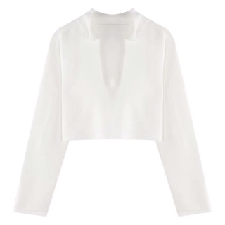 Áo croptop dài tay cổ V sâu deepcut