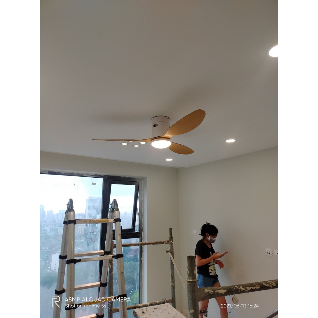Quạt trần đèn trần thấp Trang trí Phong cách Hiện Đại  52DY-G
