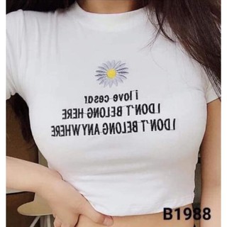 Chuyên sỉ áo crt hoa cúc h&s mt