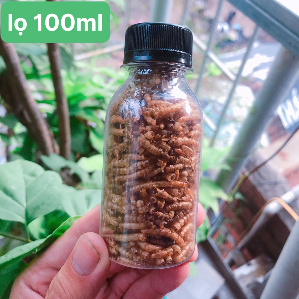 Sâu cho Hamster gói nhỏ,đồ ăn cho Hamster 20g,40g,100g