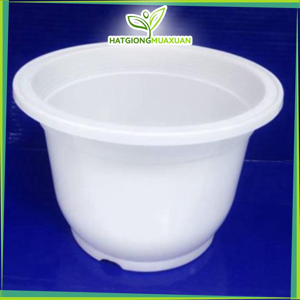 [HOT] (SÂN VƯỜN) Chậu nhựa tròn đứng đường kính 23cm màu trắng x cao 14 cm c/lượng, hg C/ty.