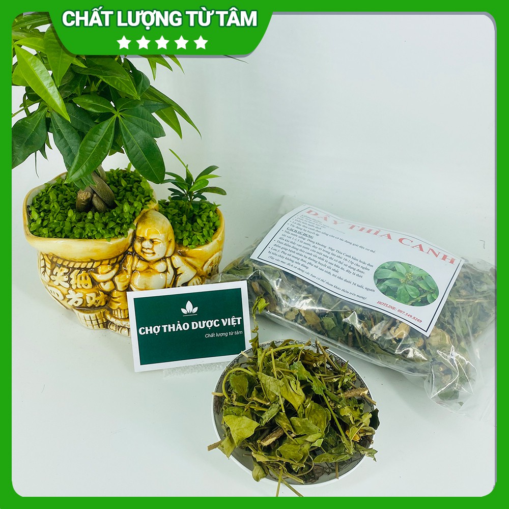 Dây thìa canh khô, xanh, đẹp 1kg - Chợ Thảo Dược Việt