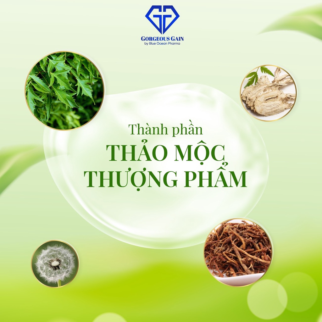 Viên Ăn Ngon GG Gorgeous Gain Giúp Ăn Ngon Tăng Cân Ngủ Sâu Cải Thiện Hệ Tiêu Hoá Ăn Ngủ Sâu An Toàn Không Tác Dụng Phụ