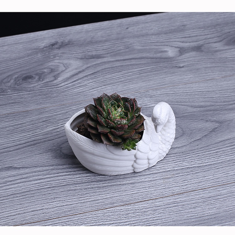 Chậu Trồng Sen Đá, Xương Rồng Cây Mini Hình Công Chất Liệu Sứ Có Lỗ Thoát Nước