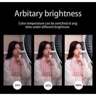 Đèn Led Ring Livestream HQ21 HL Studio