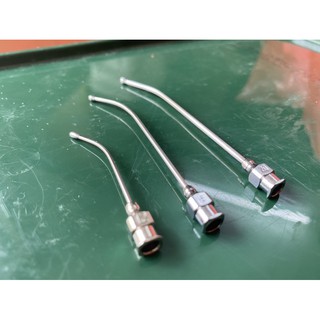 Ống đút cho vẹt con