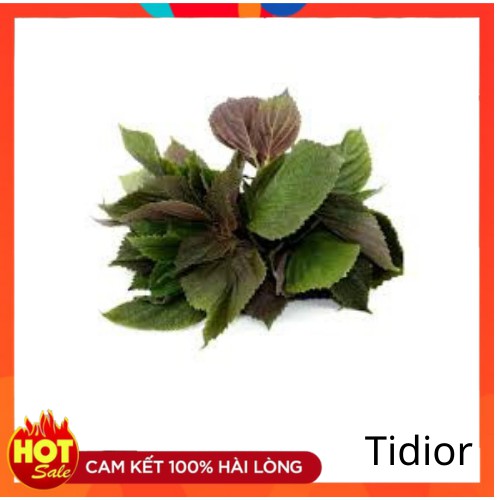 Tidior-Hạt Giống Tía Tô Cao Sản 2gr-HTT01