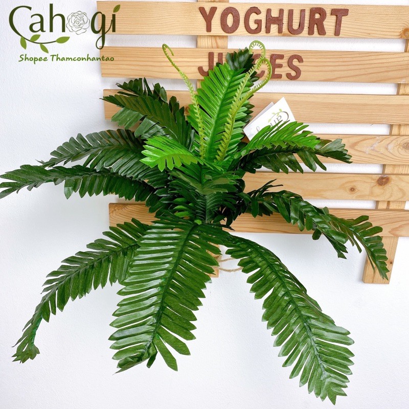 Cây giả - Vạn Tuế trang trí cỡ lớn