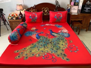 Drap thun Ý( thun lạnh 3D)