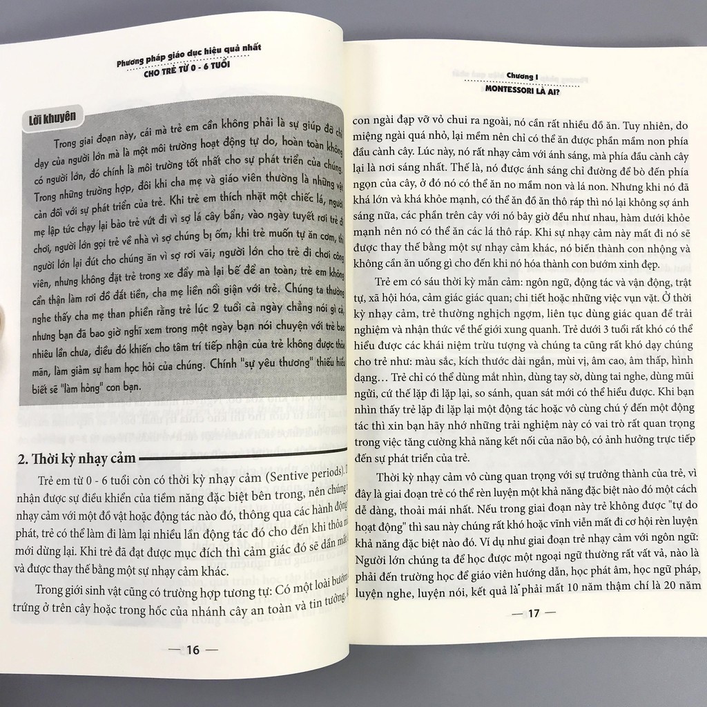 Sách Phương Pháp Giáo Dục Montessori - Phương Pháp Giáo Dục Tối Ưu Dành Cho Trẻ 0-6 Tuổi | BigBuy360 - bigbuy360.vn