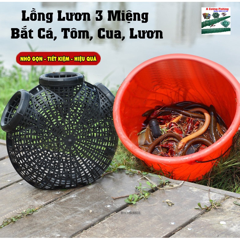 Lồng bẫy Lươn 3 cửa, Phiên Bản 2023 Dễ Vào Khó Ra