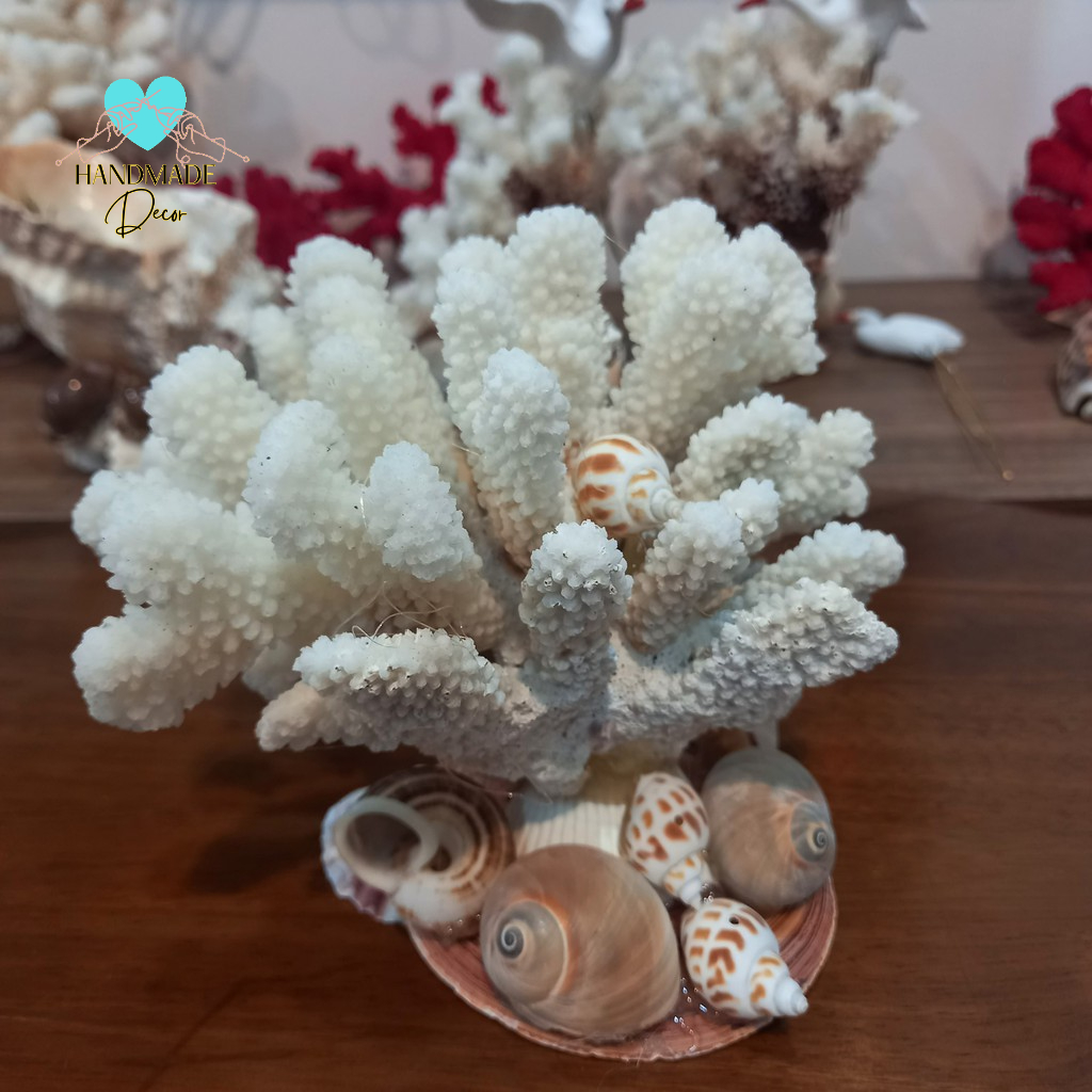 San hô chụp ảnh trang trí bàn trà, tủ trà, bể cá