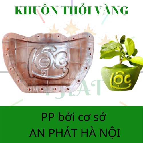 Khuôn Thỏi Vàng - Khuôn tạo hình trái cây Chữ Tài Lộc dùng cho Bưởi, Dưa Hấu, Dưa Vàng, Đào Tiên... lại dày 4-5 li, dùng