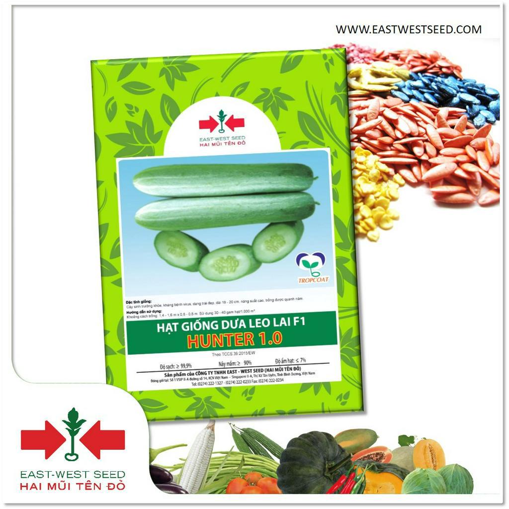 GÓI 10g (KHOẢNG 298 HẠT) HẠT GIỐNG DƯA LEO LAI F1 HUNTER 1.0 CỦA EAST-WEST SEED (HAI MŨI TÊN ĐỎ)
