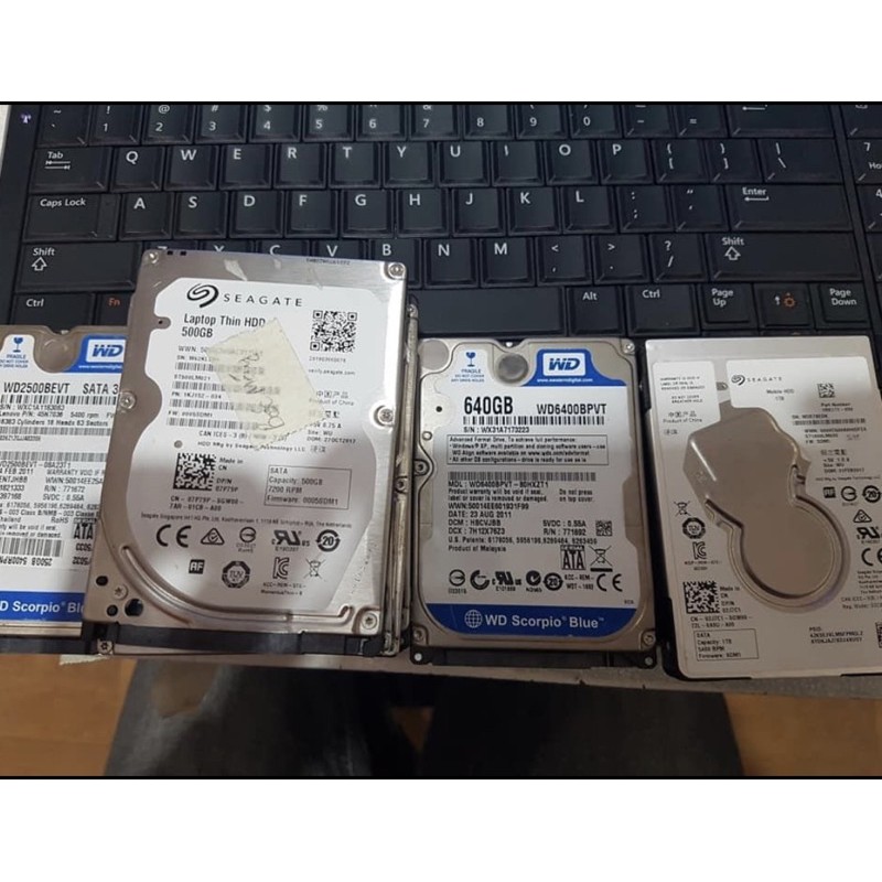 Ổ Cứng Laptop Cũ 250Gb 320Gb 500Gb 1000Gb Bóc Máy | BigBuy360 - bigbuy360.vn