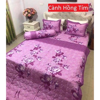 Sét Chăn Ga 5 Món Cotton Poly (Được Chọn Mẫu)