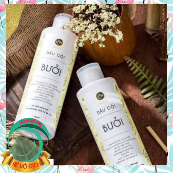 Dầu gội bưởi + Gel ủ bưởi + tinh dầu bưởi Nga Hoàng , tinh dầu hoàng cầm +Dầu Gội Maccadin + Ủ Xả Bưởi Dừa ARGAN Mẫu Mới | BigBuy360 - bigbuy360.vn