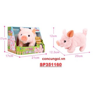 Heo con lông pin , Q033
