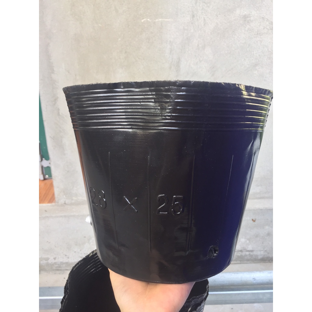 BẦU ƯƠM CÂY 28*25 ( DỊCH TRUYỀN CHO CÂY, KÍCH RỄ , MẦM CÂY XANH LÁ, LƯỚI CHE NẮNG...)