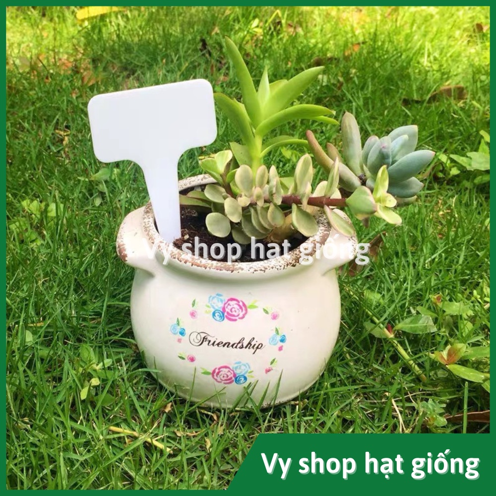 50 thẻ ghi tên cây - tag tên dạng cắm nhiều màu loại dày, kích thước 6x10cm