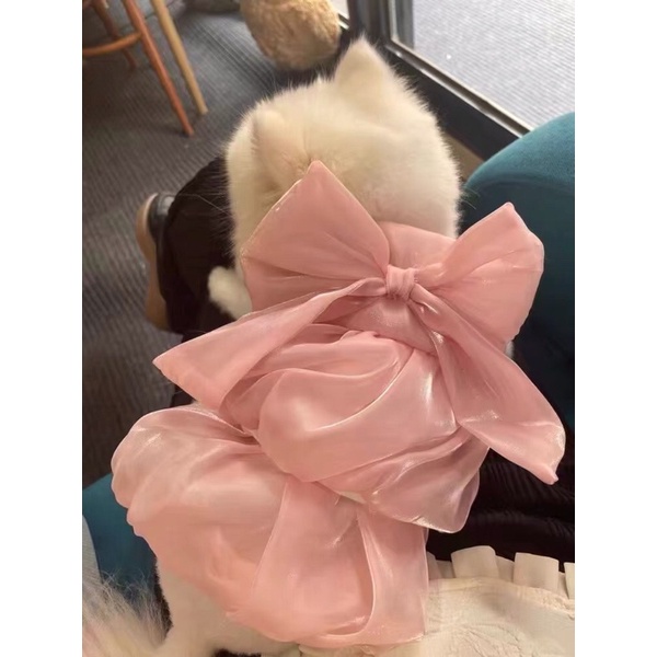 ÁO ĐẦM XINH NƠ TO CHO CÚN