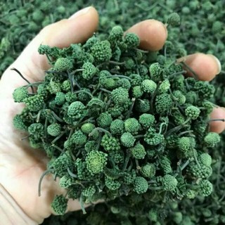 Sỉ lẻ nụ tam thất 100g - 200g - 300g