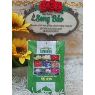Hạt giống hoa sen mini nhiều màu rd 846 rạng đông gói 5 hạt