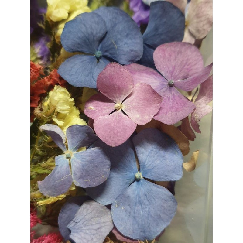 Hộp Hoa Khô mix 10  loại hoa ngẫu nhiên dùng trong handmade ( Resin, tranh hoa, nến, xà phòng, sáp thơm)