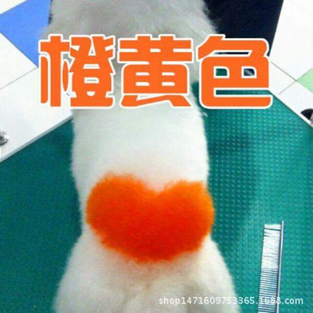 Thuốc nhuộm lông cho cún