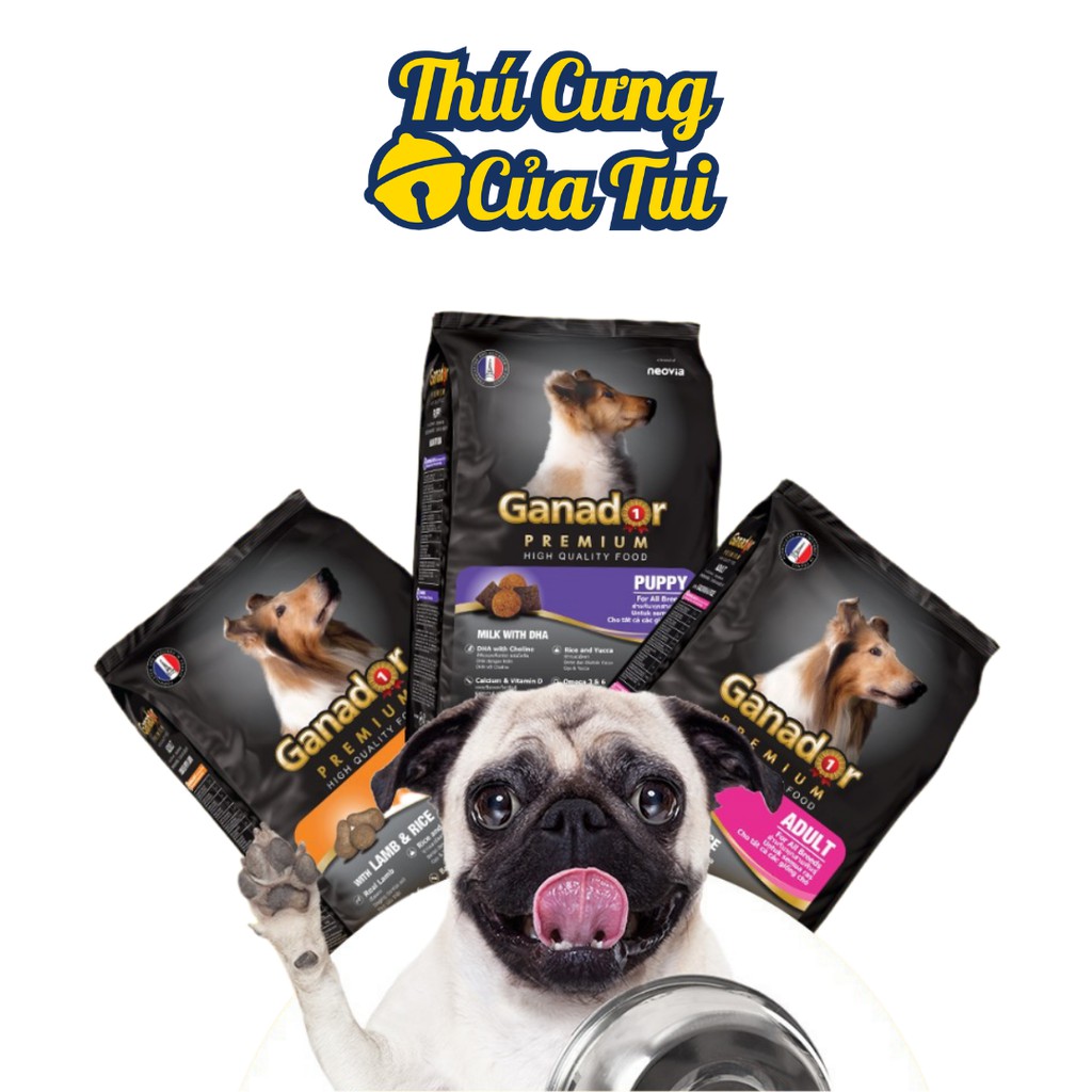 Thức Ăn Cho Chó Lớn Ganador Adult Hạt Khô Vị Gà, Cá Hồi Gói 400g - Thú Cưng Của Tui