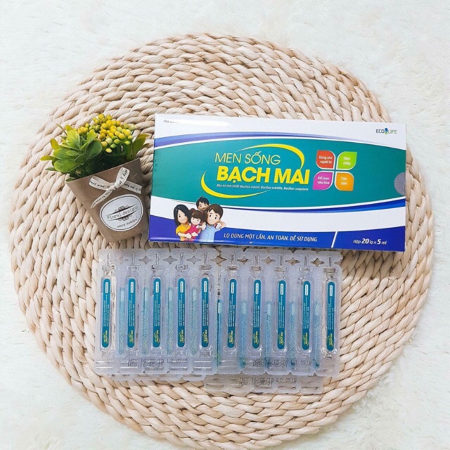 Men sống Bạch Mai
